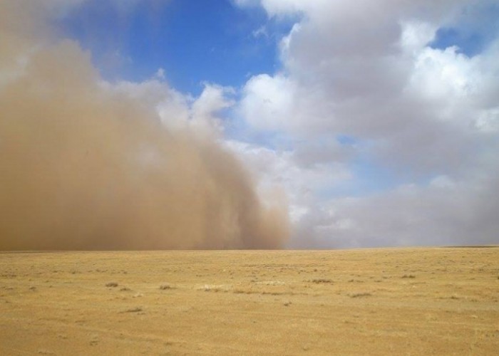 Зарим нутгаар салхи шуургатай байна