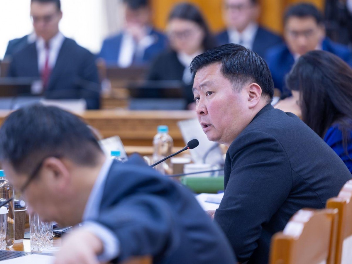 Орон сууцжуулалтын тухай анхдагч хуулийн төсөл, Орон сууцны санхүүжилтийн банкны тухай анхдагч хуулийн төслийг УИХ-д тус тус өргөн мэдүүлнэ