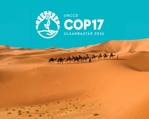 "COP17" гэж юу вэ?