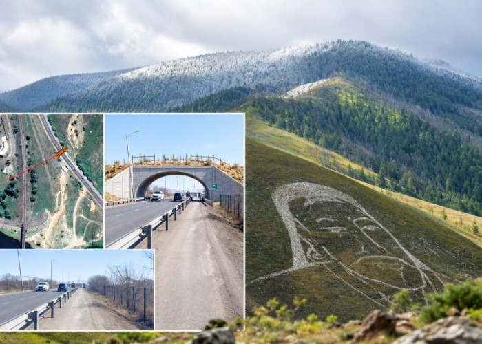 Богдхан уулын зэрлэг амьтдад зориулсан экологийн гарц барих байршлыг эцэслэлээ
